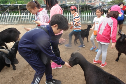 동춘2동 주민자치센타 어린이 곤충박물관 현장 체험 활동