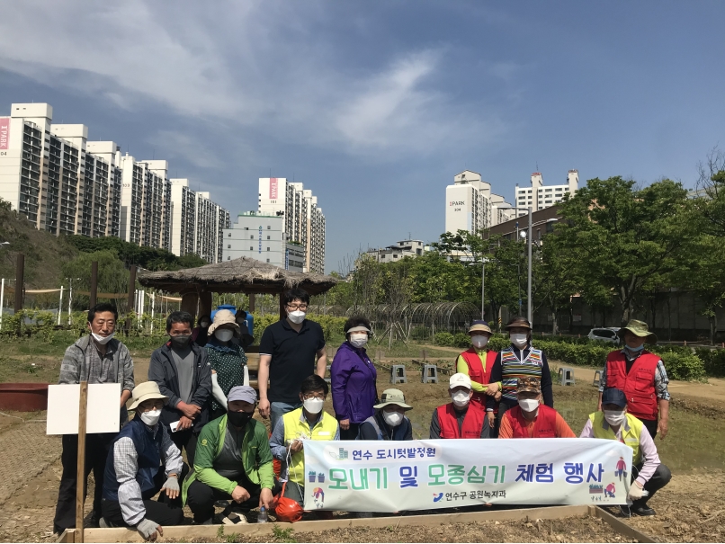 연수구, 송도석산 도시텃밭 손모내기 체험 행사의 1번째 이미지