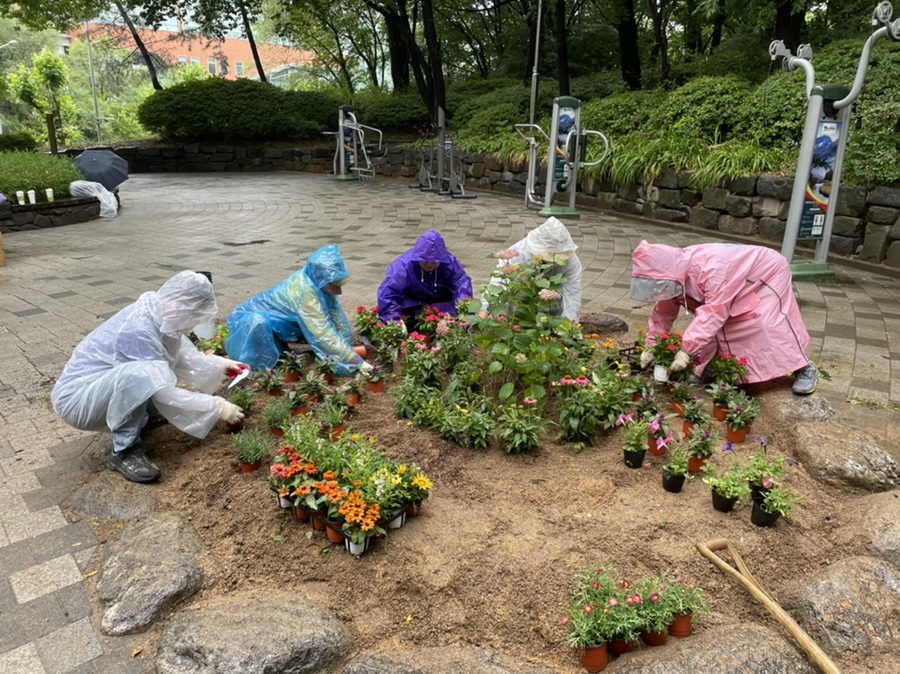 연수구, 주민이 직접 계획하고 꾸미는 게릴라가드닝 실시의 2번째 이미지