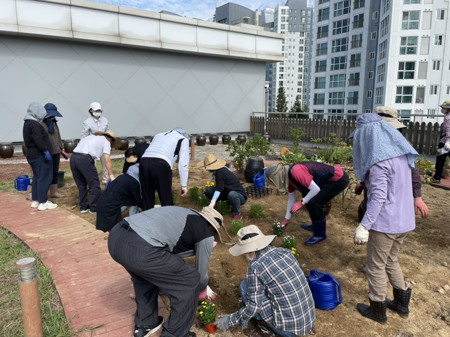 연수구, 송도건강생활지원센터 옥상텃밭 정원가꾸기의 2번째 이미지