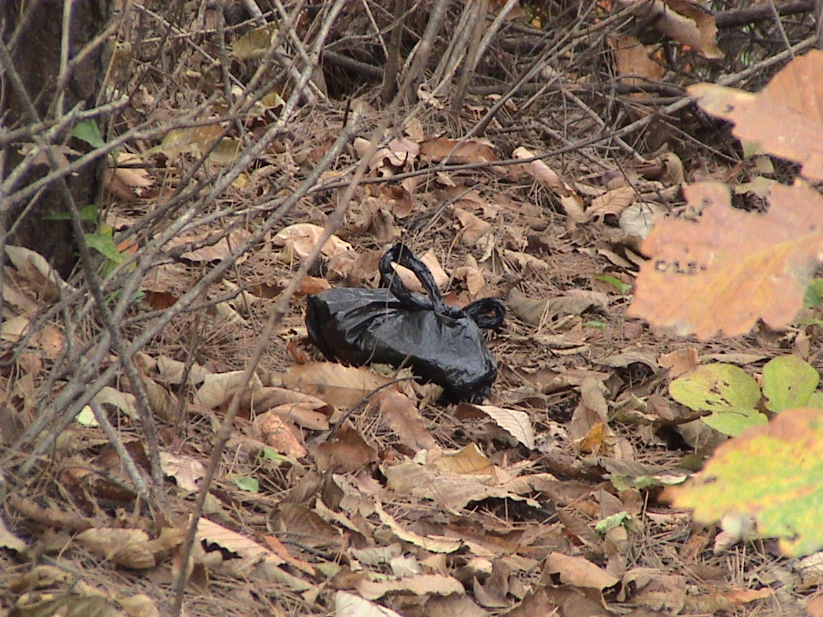 산을 자주가는 산악회도 불법광고입니다의 2번째 이미지