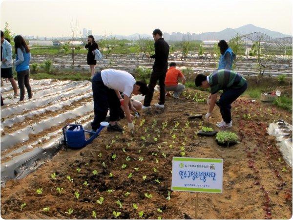 연수구자원봉사센터-  대건고등학교 학생들과 함께하는 텃밭일구기의 2번째 이미지