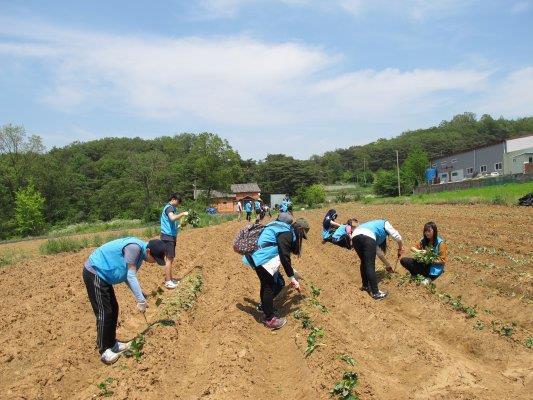 2016년 청소년 자원봉사학교(농촌봉사활동) 실시의 2번째 이미지