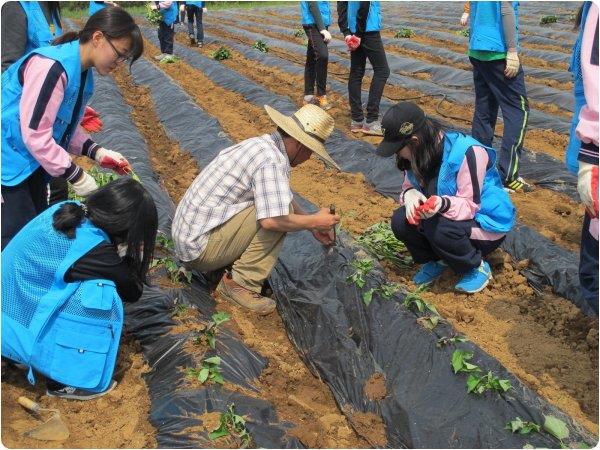 연수구자원봉사센터 5월 4주 활동내용의 2번째 이미지